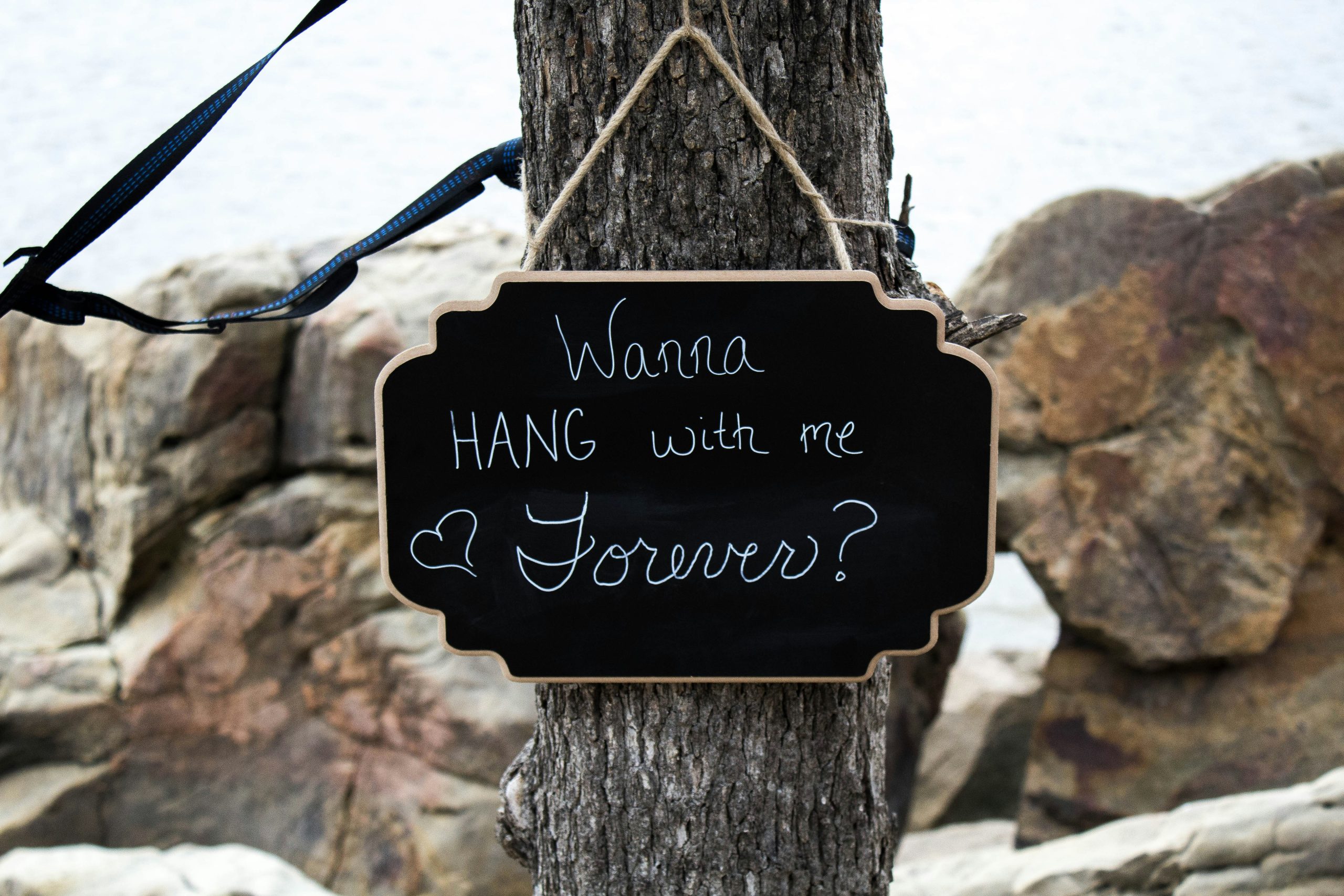 engagement photo sign prop